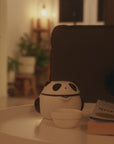 The Panda Teapot Set — Limited Edition Ceramic Travel Teapot, Strainer & 3 Cups with Carry Pouch